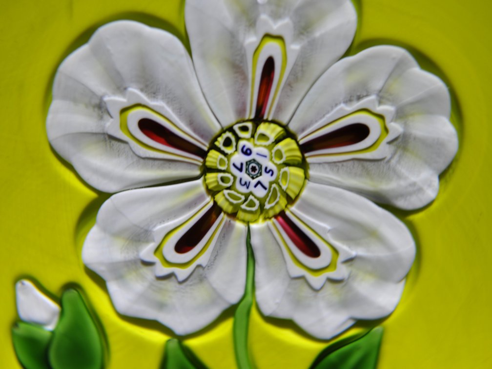 St. Louis 1973 Floral Lampwork Weight