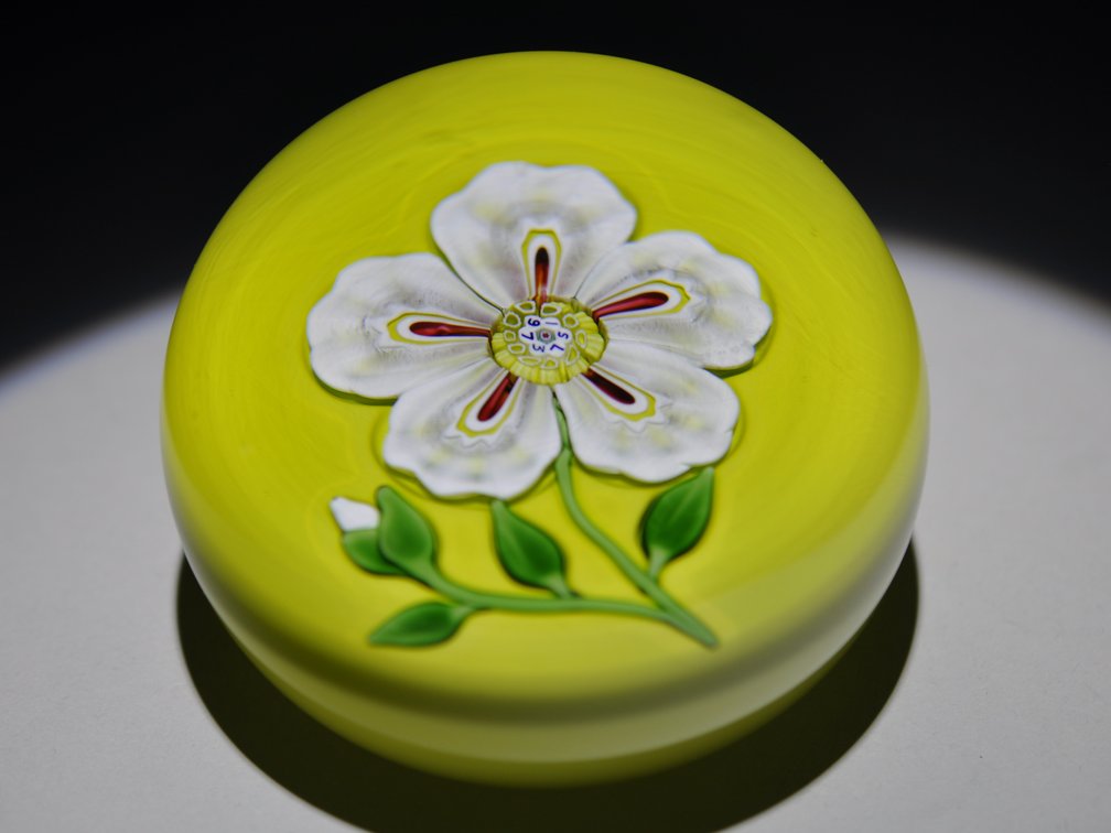 St. Louis 1973 Floral Lampwork Weight