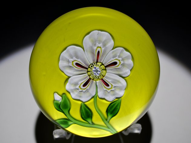 St. Louis 1973 Floral Lampwork Weight