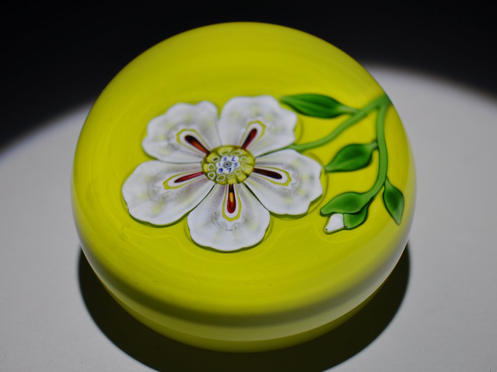 St. Louis 1973 Floral Lampwork Weight
