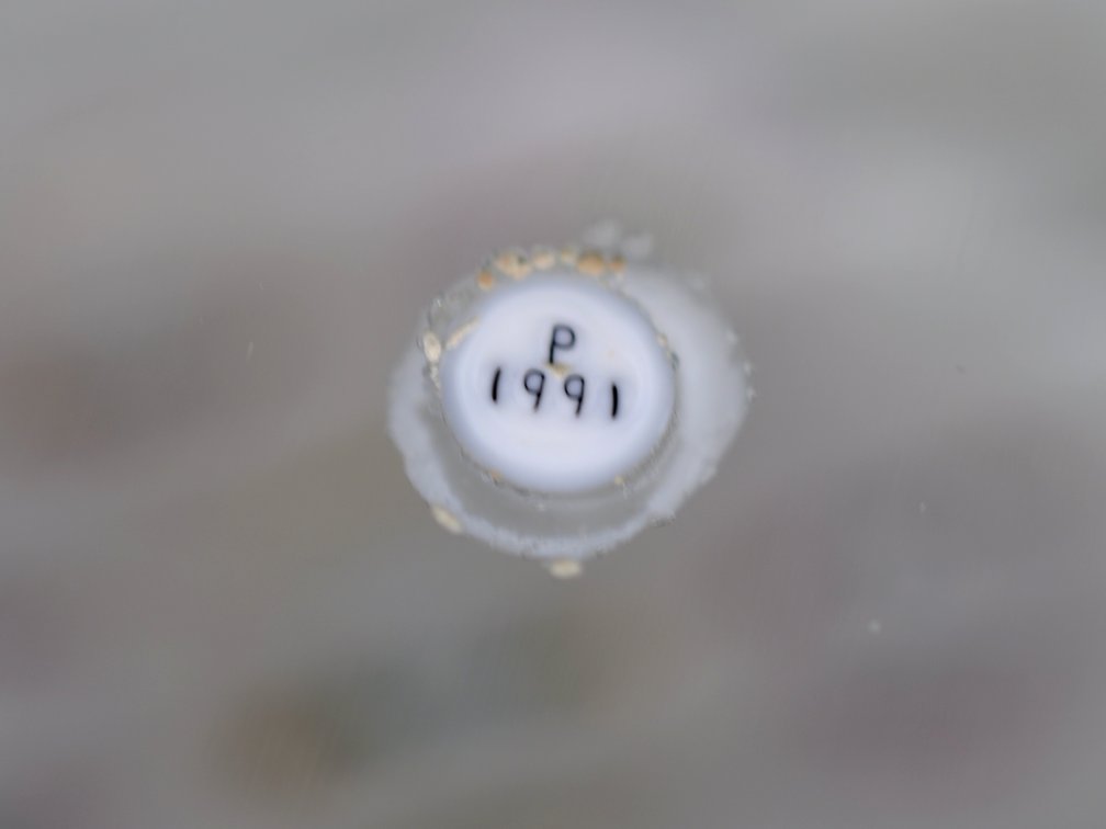 Perthshire 1991 Concentric Millefiori PP11
