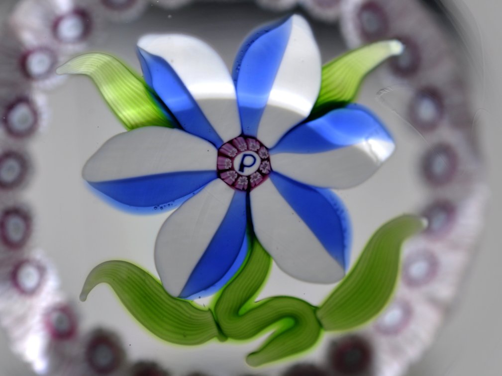 Perthshire 1976c Miniature Flower