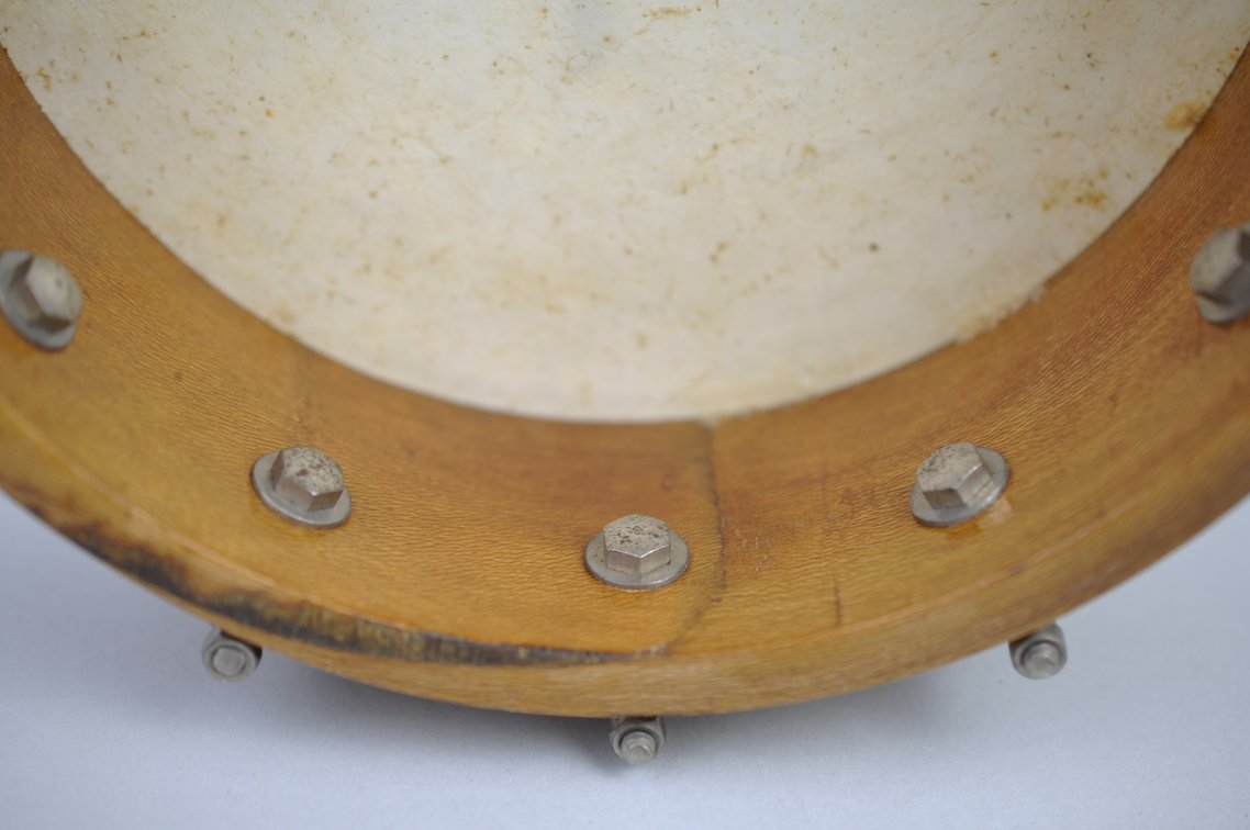 Banjolele and Training Guides, photo 11 of 20