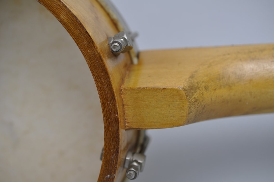 Banjolele and Training Guides, photo 12 of 20