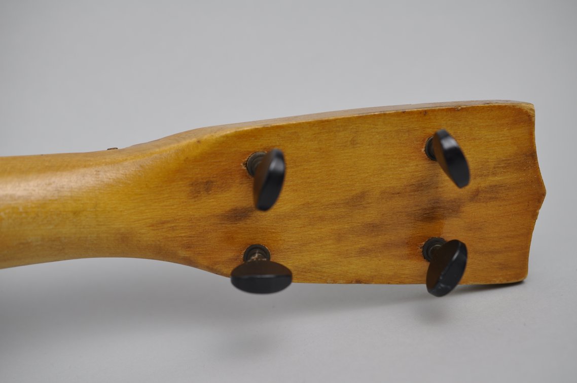 Banjolele and Training Guides, photo 14 of 20