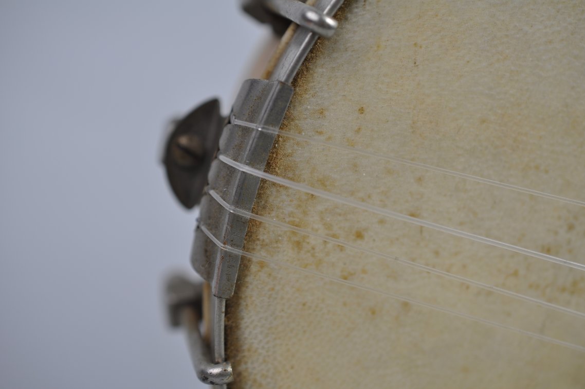 Banjolele and Training Guides, photo 3 of 20