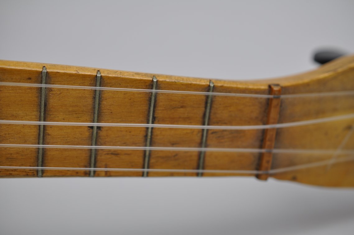 Banjolele and Training Guides, photo 6 of 20