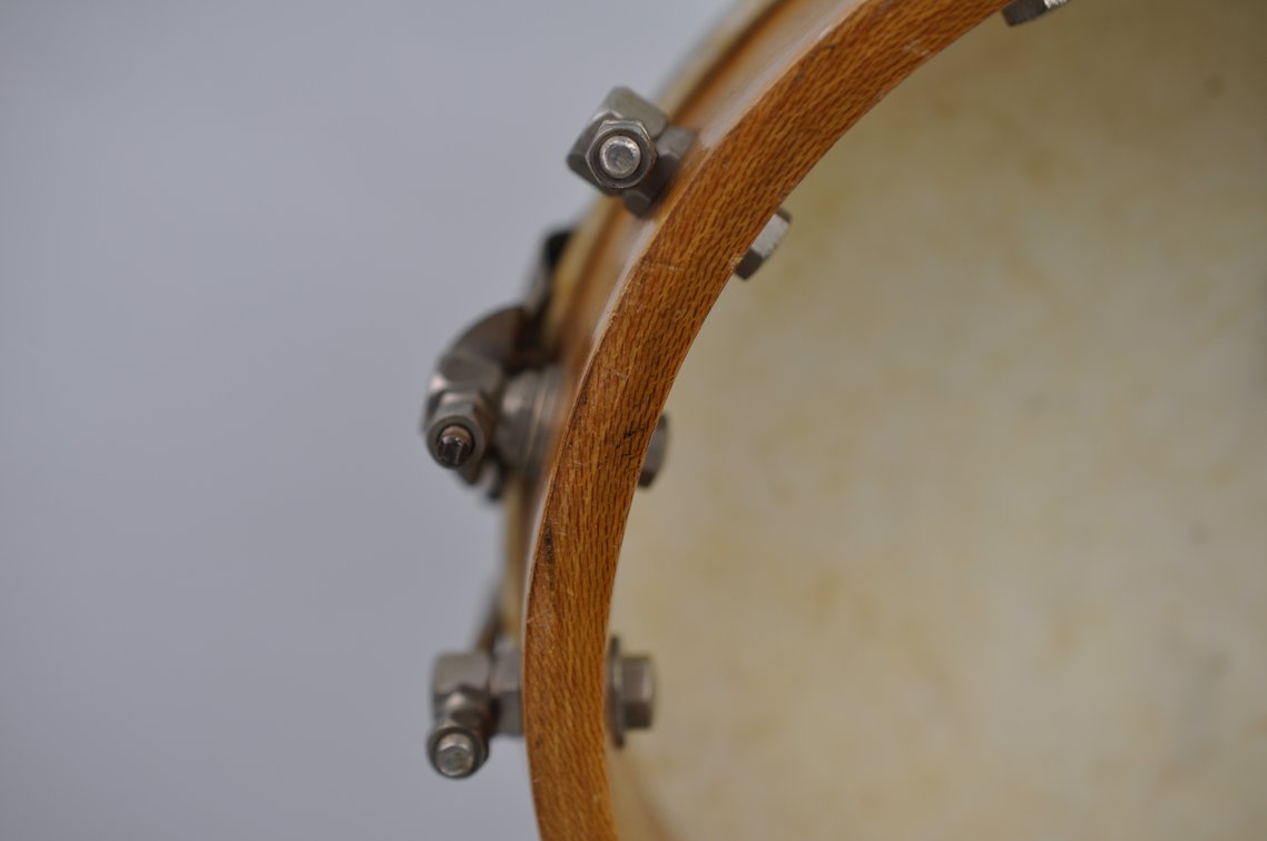 Banjolele and Training Guides, photo 10 of 20