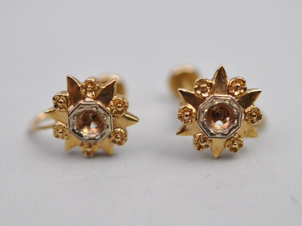 10K Gold Earrings & Ring Setting
