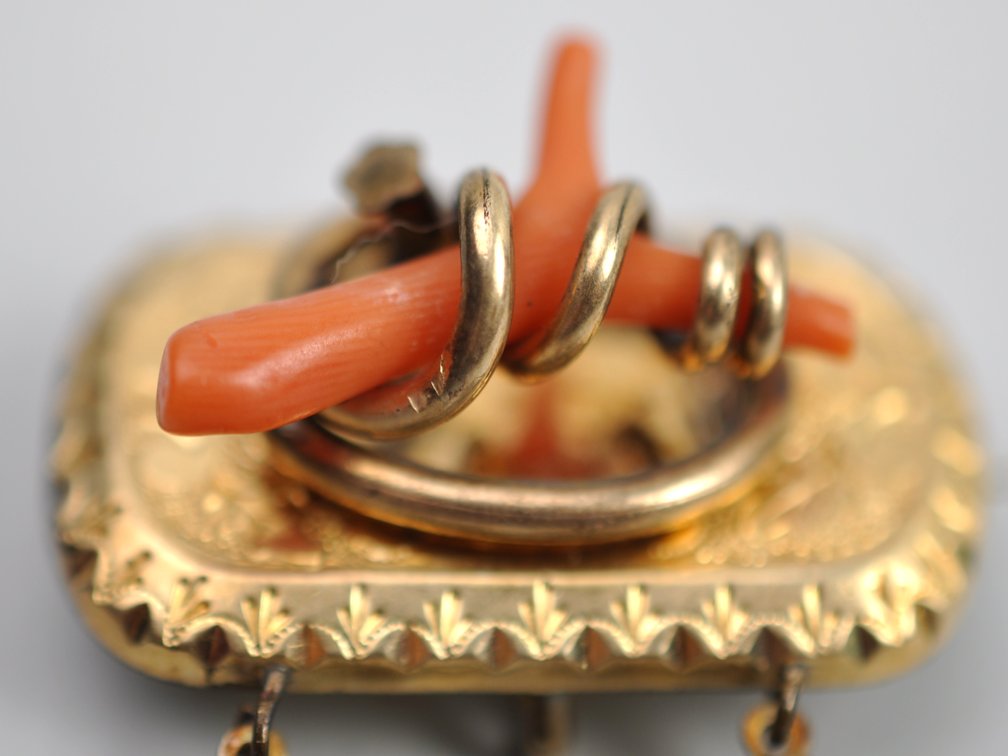 Gold Tone Coral Brooch Earrings
