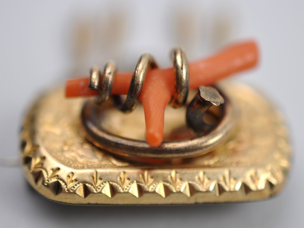 Gold Tone Coral Brooch Earrings