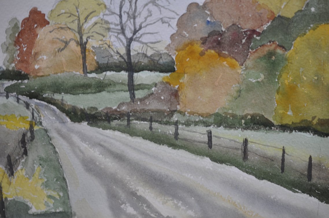 Original Watercolor Paintings w/Matching Frames, photo 10 of 16