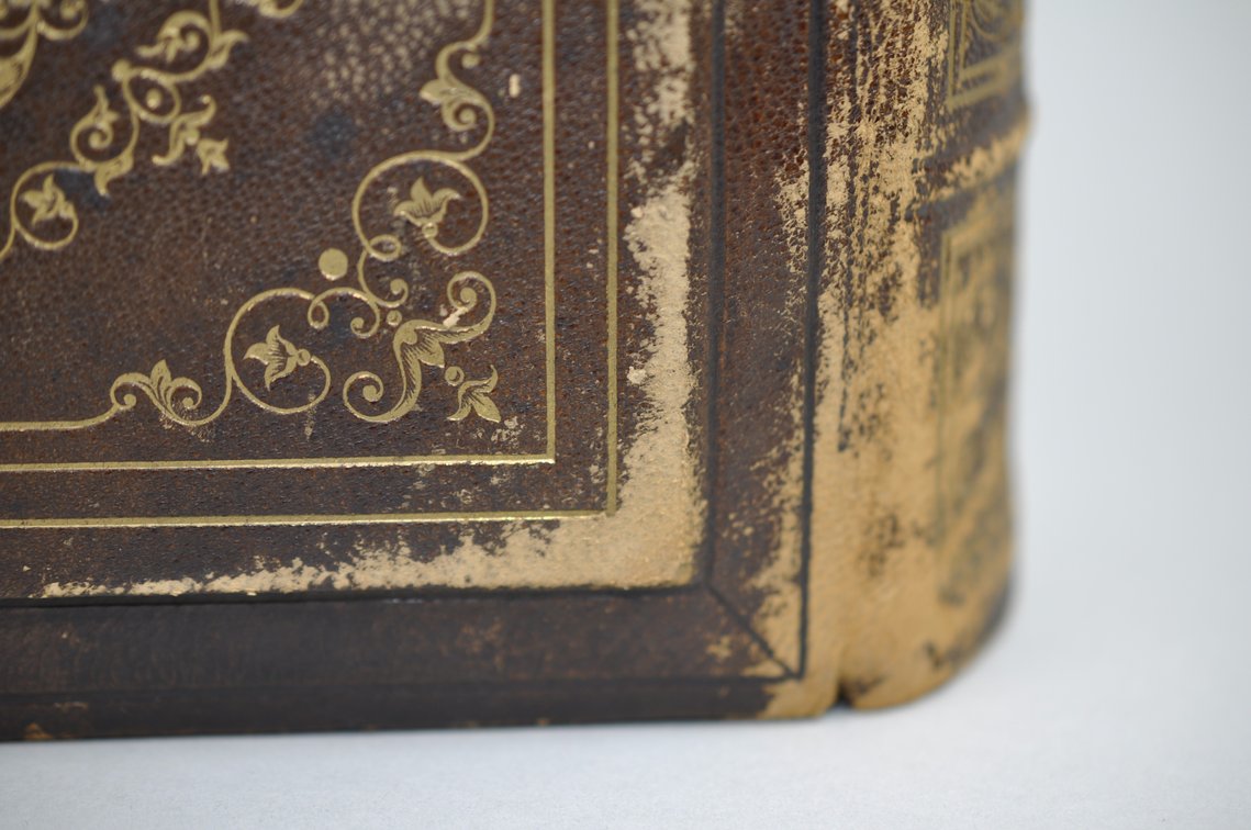 Mid-1800's Leather Family Bible, photo 14 of 28