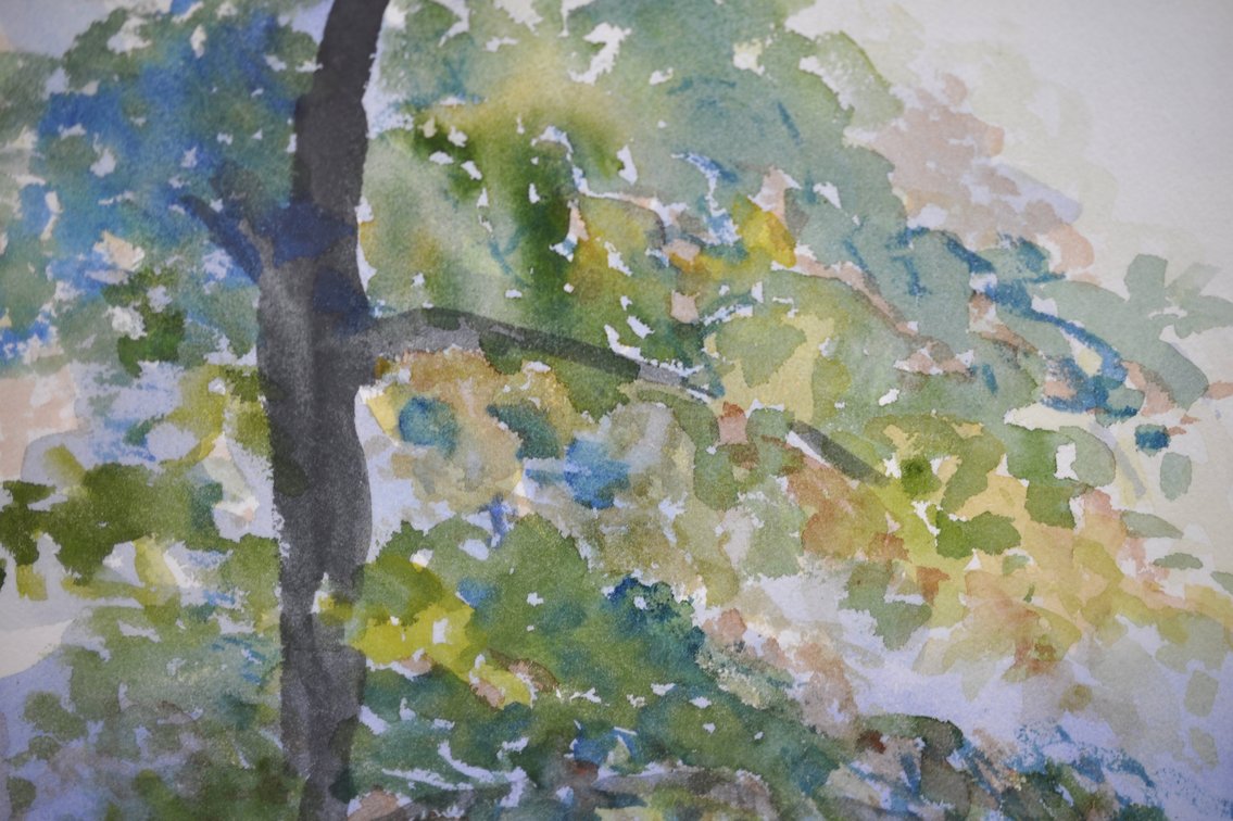 Original Watercolor Paintings in Matching Frames