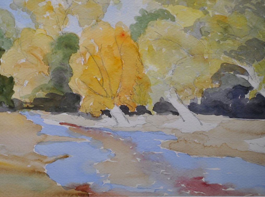Original Watercolor Paintings w/Matching Frames
