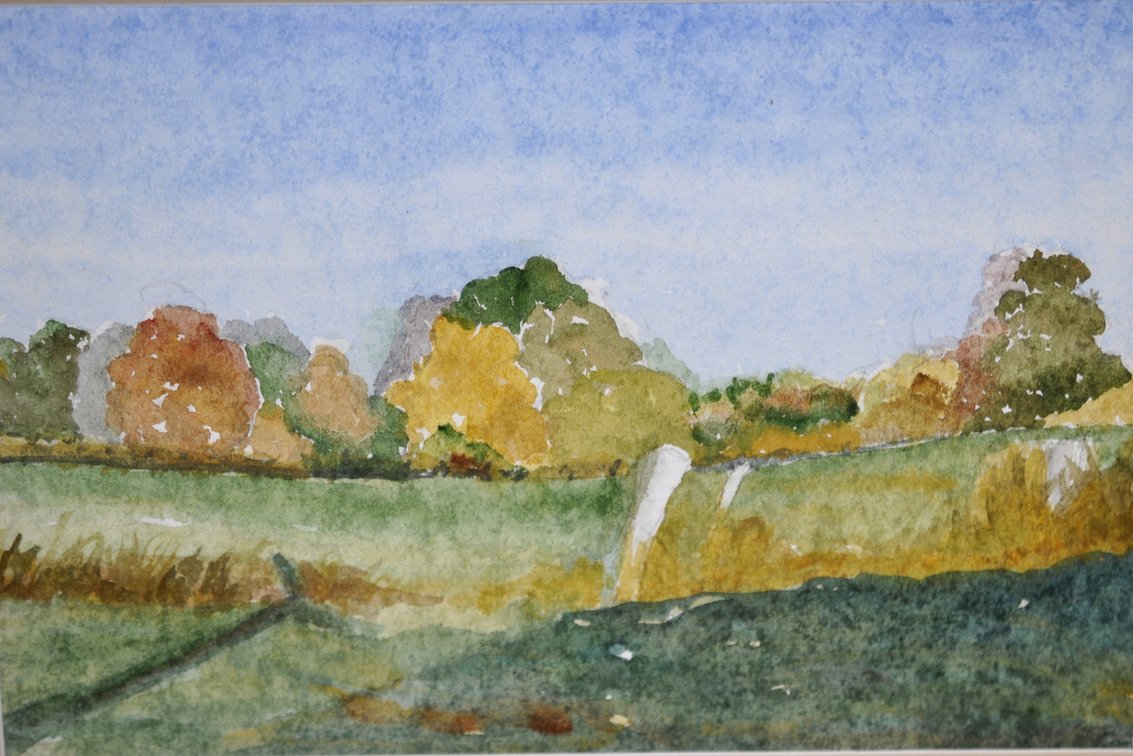 Original Watercolor Paintings w/Matching Frames, photo 13 of 16