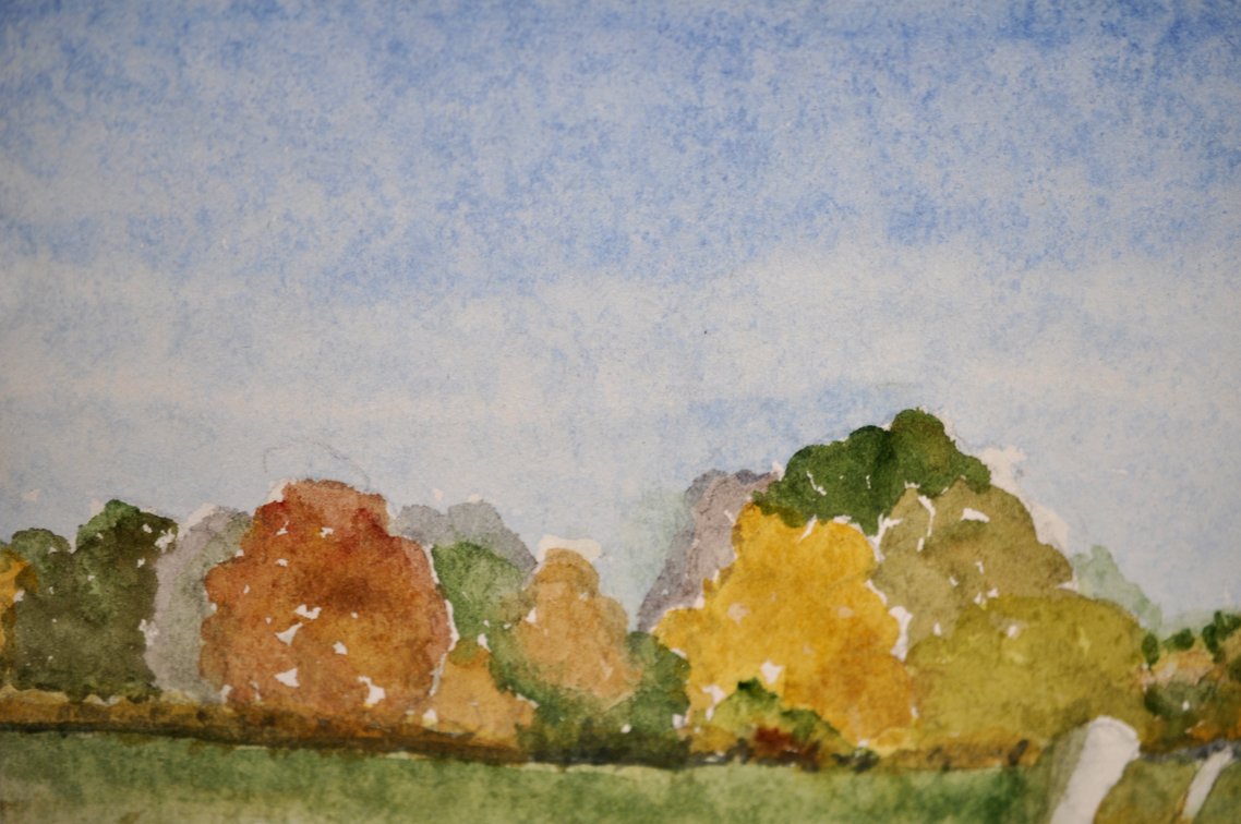 Original Watercolor Paintings w/Matching Frames, photo 14 of 16