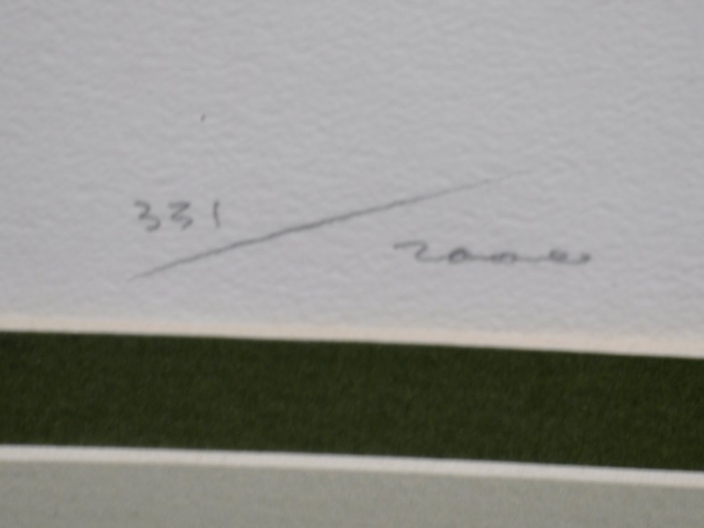 H. Jones, Signed Sentinel Limited Edition Print
