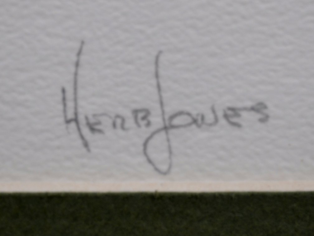H. Jones, Signed Sentinel Limited Edition Print, photo 9 of 10