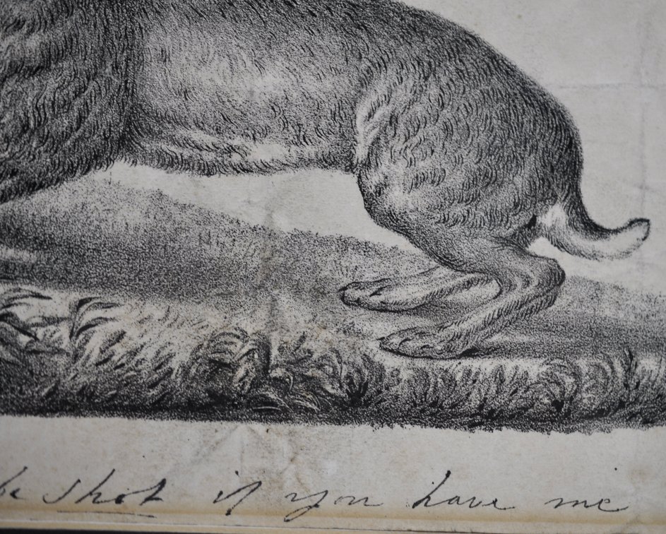 C.J. Grant, 1833 I'll Be Shot If You Have Me