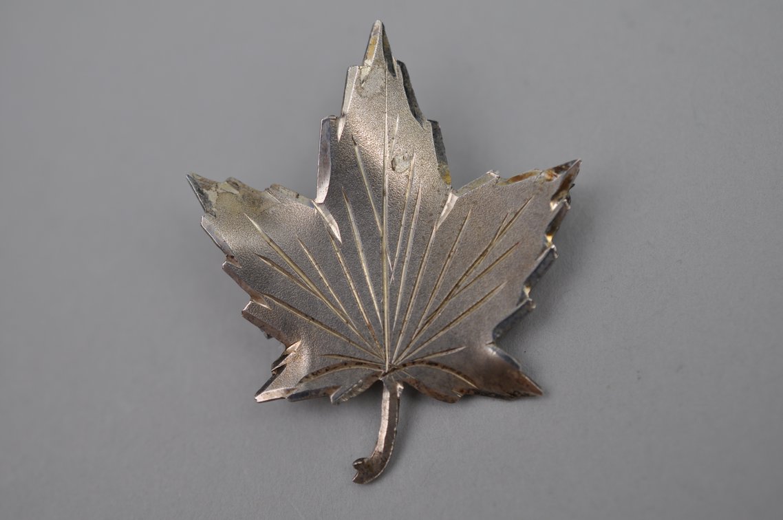 Sterling Silver Brooch and Earrings