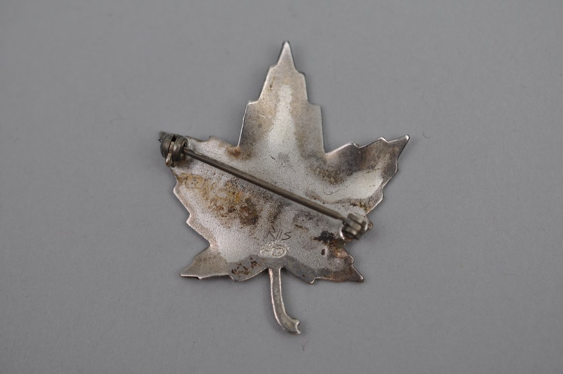 Sterling Silver Brooch and Earrings