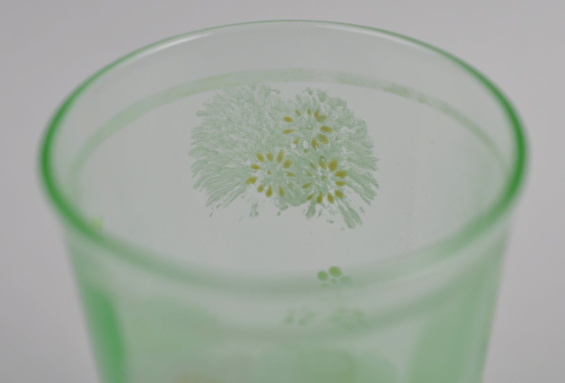 UV Lemonade Tankard and Glasses, photo 18 of 24