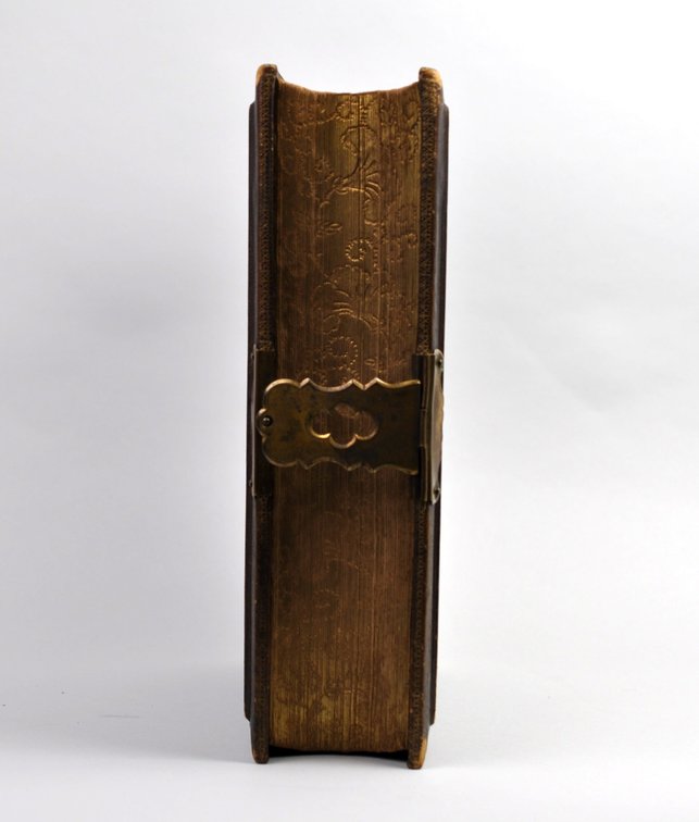 Mid-1800's Leather Family Bible