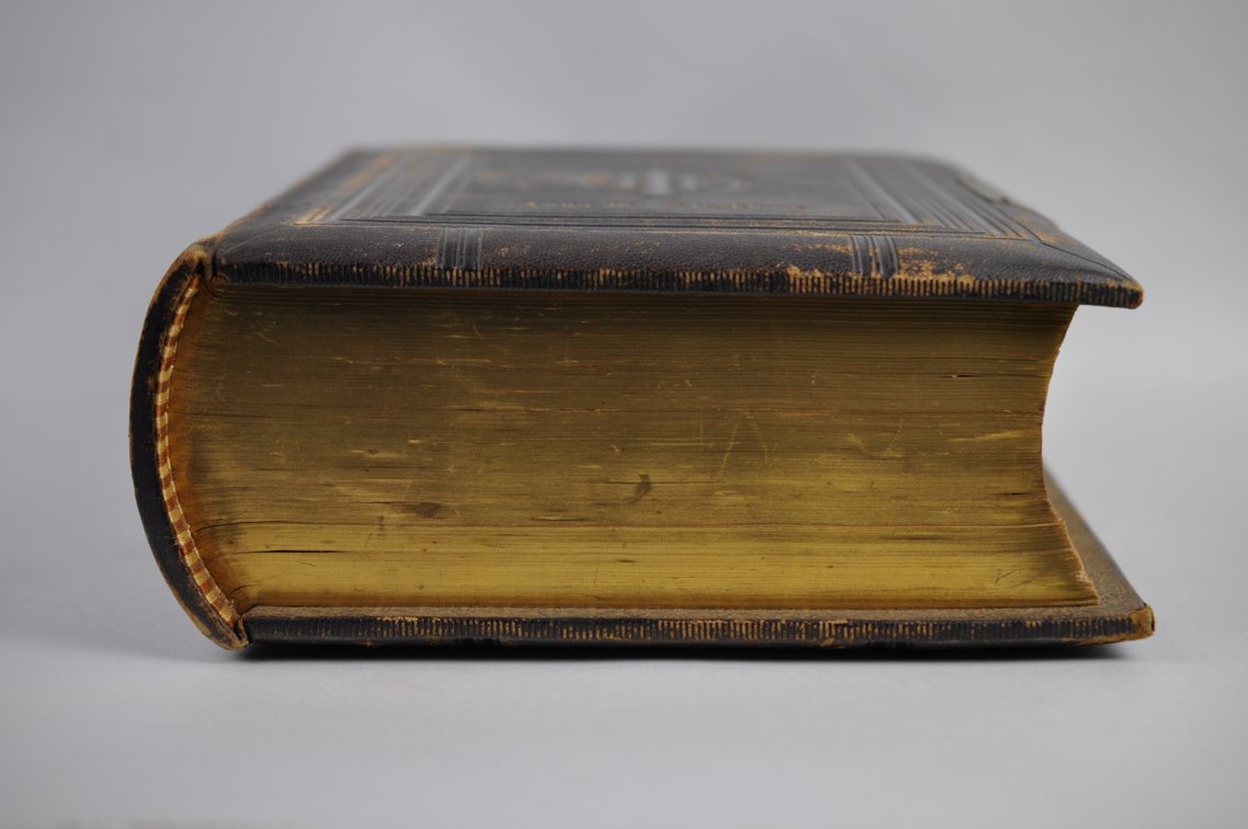 1877 A.J. Holman & Co. Holy Bible, photo 11 of 17