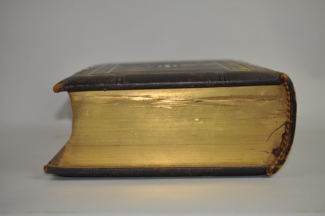 1877 A.J. Holman & Co. Holy Bible, photo 9 of 17