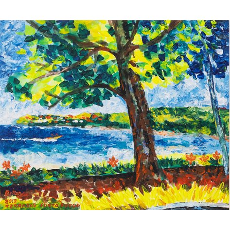 Norma Belleza (b. 1939) - Terrazas Punta Fuego