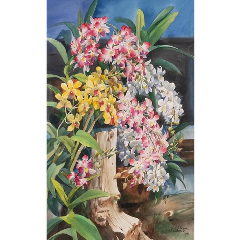 Ephraim Samson (b. 1947) - Orchids