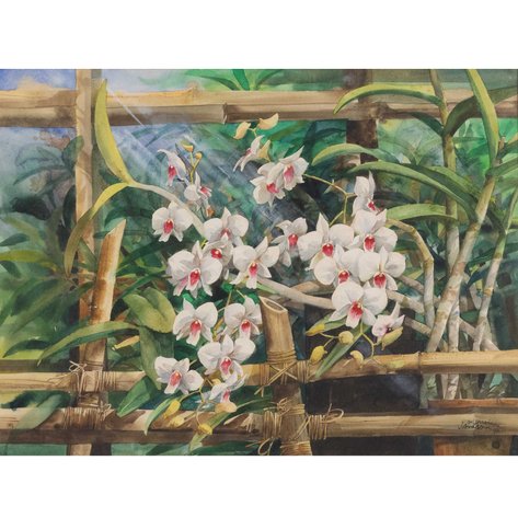 Ephraim Samson (b. 1947) - Orchids