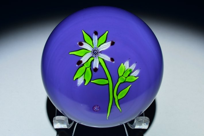 Perthshire White Flower Motif 1974