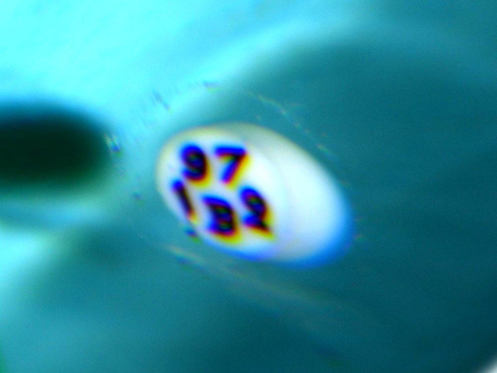 Baccarat Pansy Lampwork Motif 1972