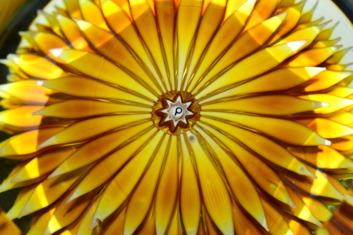 Perthshire Faceted Golden Dahlia 1986
