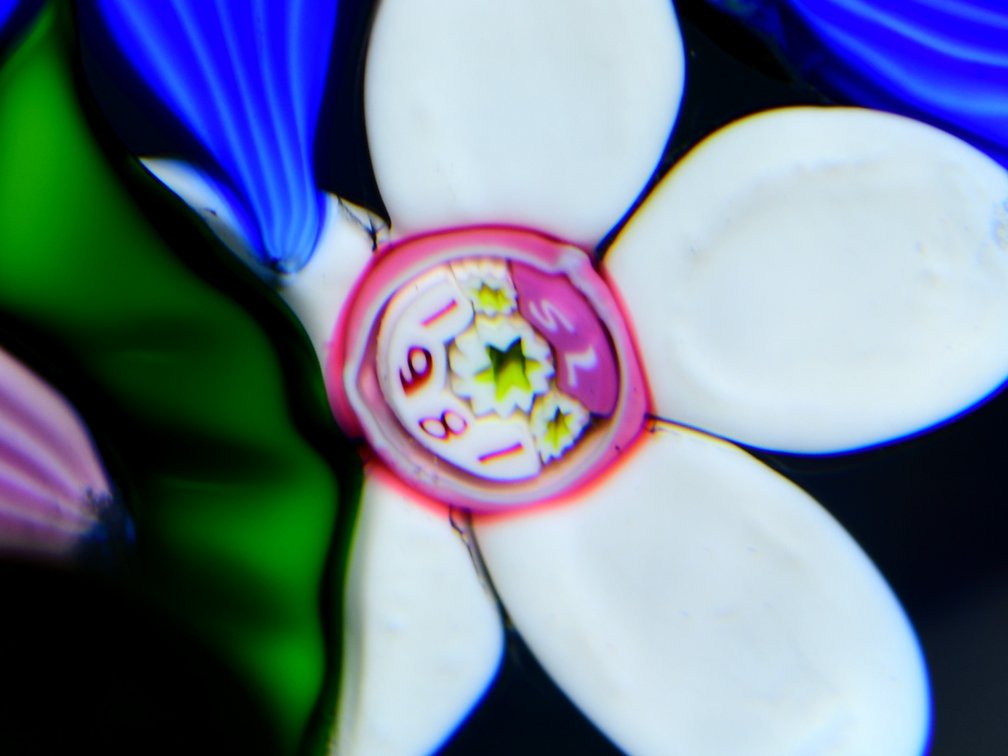St. Louis Floral Bouquet Motif 1981