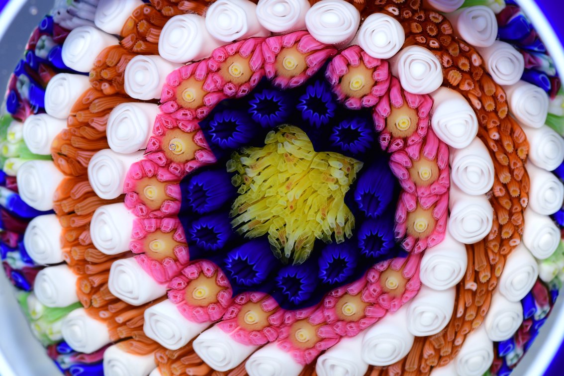 Baccarat Overlay Concentric Millefiori 1971