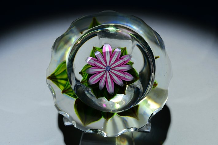 Perthshire Faceted Dahlia Flower 1985
