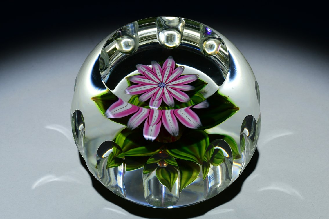 Perthshire Faceted Dahlia Flower 1985