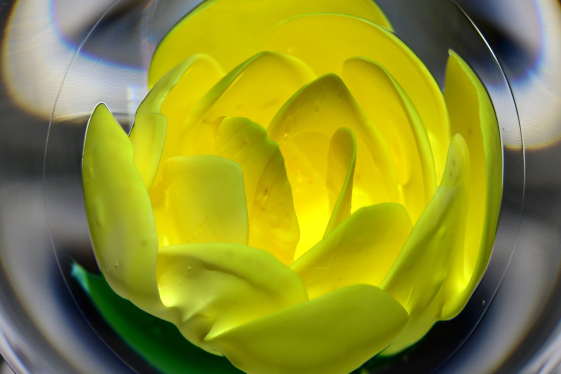 Francis Whittemore Lampwork Crimp Rose