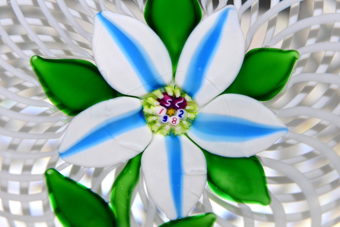 St. Louis Clematis Lampwork 1982