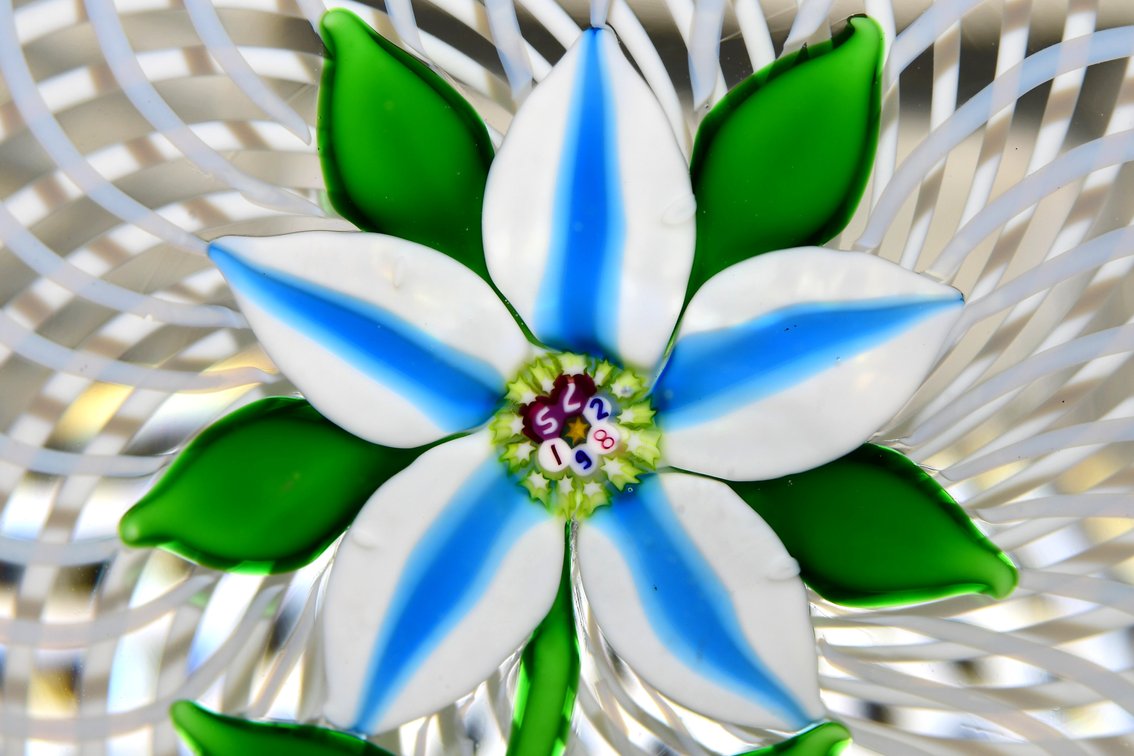 St. Louis Clematis Lampwork 1982