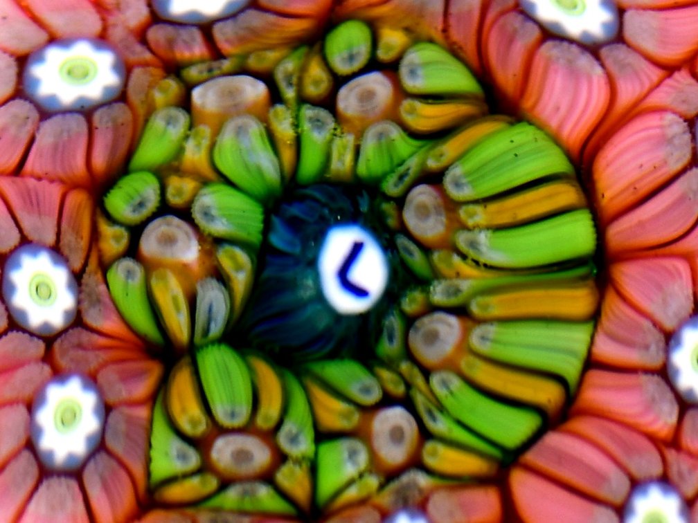Perthshire Flower Pattern Millefiori 1980