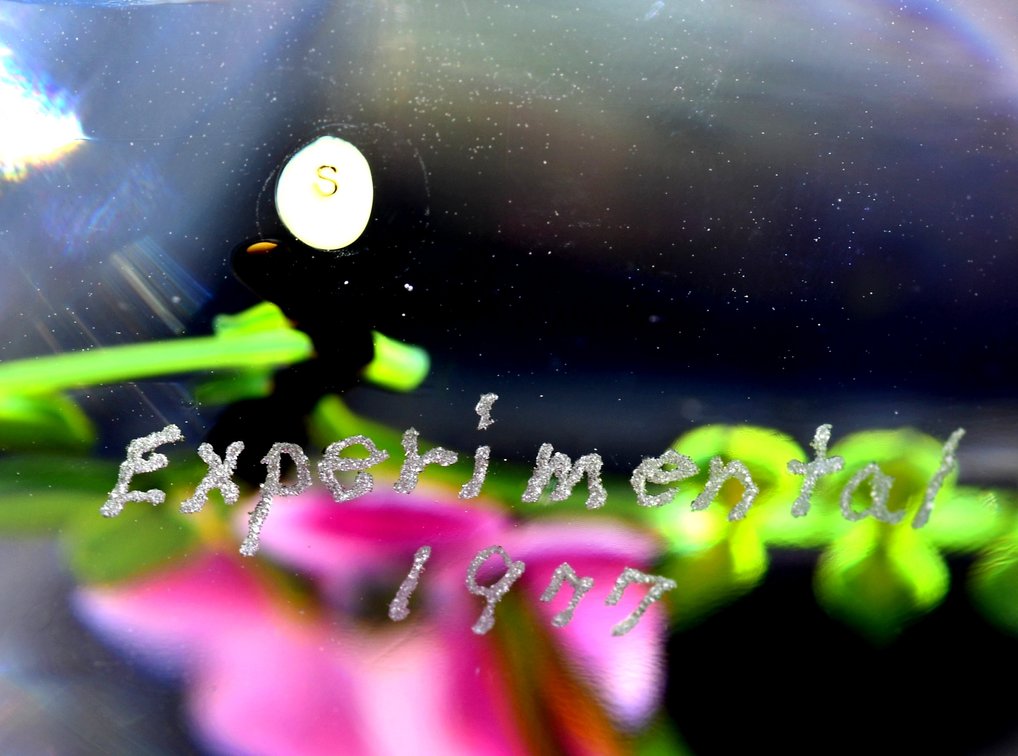Paul Stankard Experimental Floral Lampwork 1977