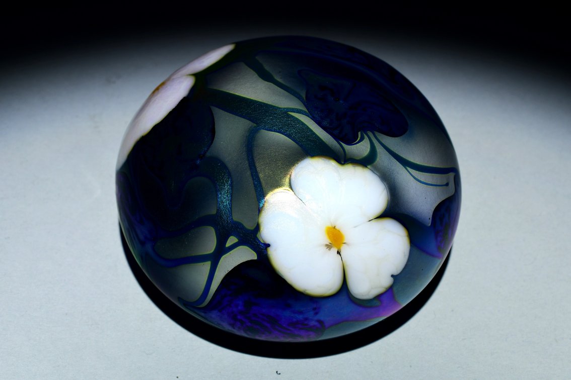 Charles Lotton Iridescent Floral