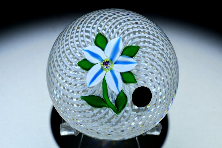 St. Louis Clematis Lampwork 1982