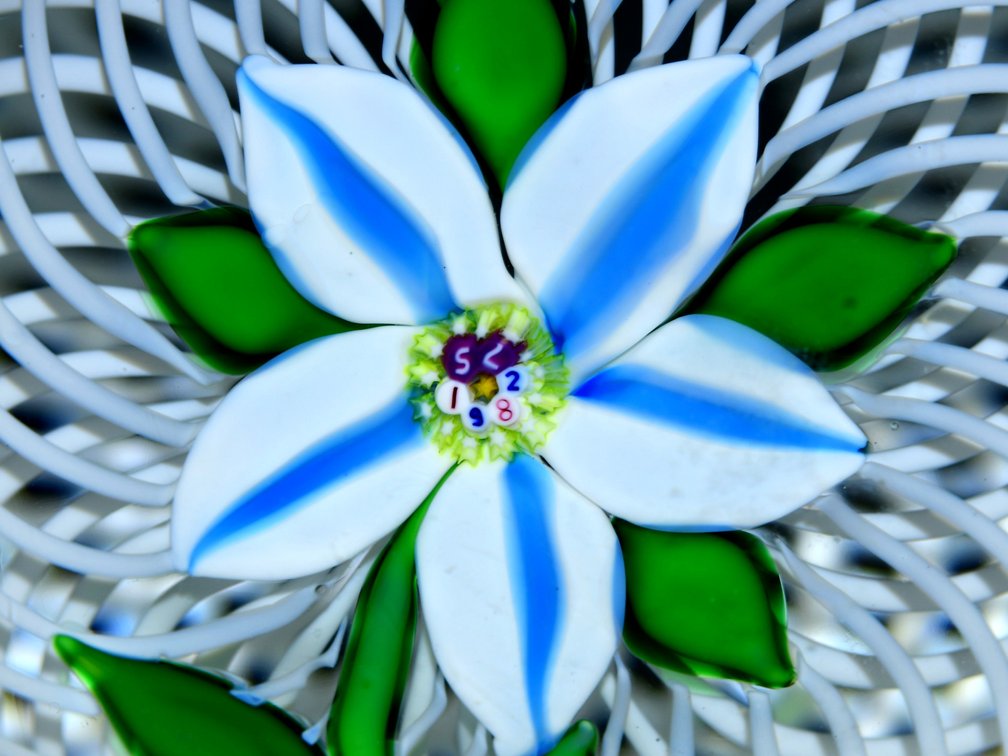 St. Louis Clematis Lampwork 1982