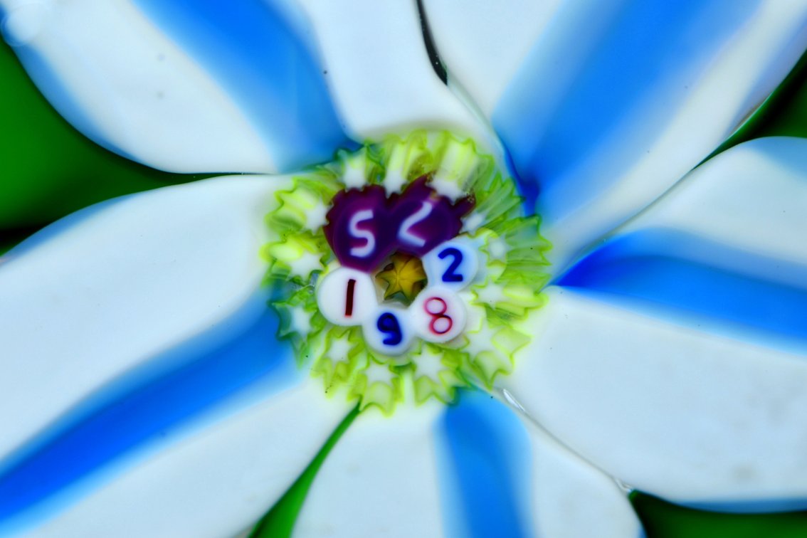 St. Louis Clematis Lampwork 1982