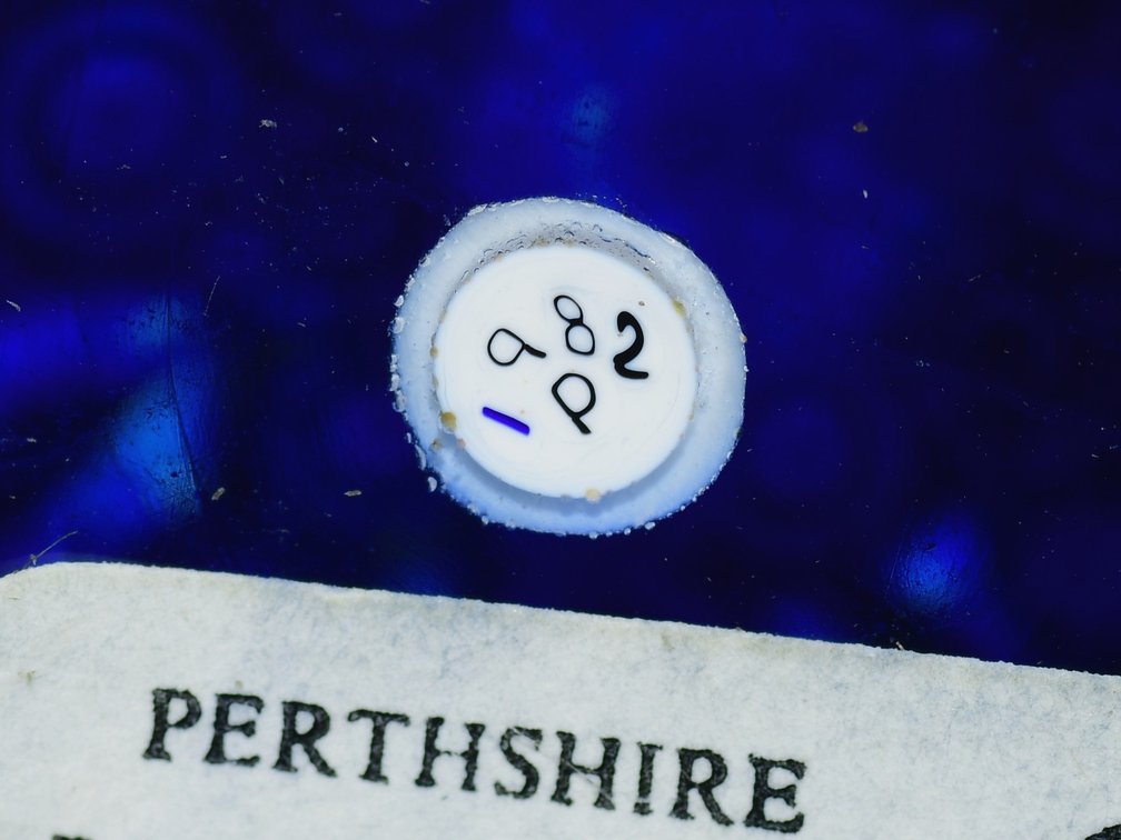 Perthshire Radial Spoke Millefiori 1982